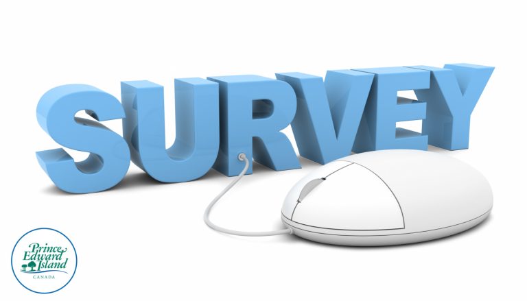 Survey Secrets: The Best-Paying Online Surveys for Students